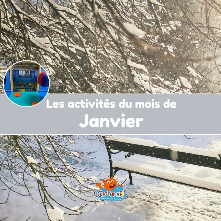 Activité du mois de janvier